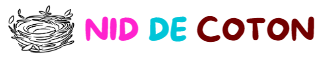 niddecoton.fr